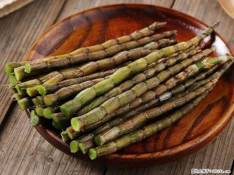 铁皮石斛的作用与功能主治 - 江门生活资讯 - 江门28生活网 jm.28life.net