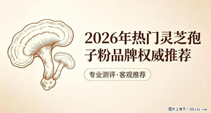 灵芝孢子粉含量越高越有效？2026 年七款热门品牌深度实测，肠胃敏感者避坑指南 - 江门生活资讯 - 江门28生活网 jm.28life.net